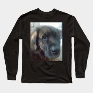 sir henry Long Sleeve T-Shirt